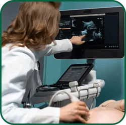 Imaging scrotal ultrasonography